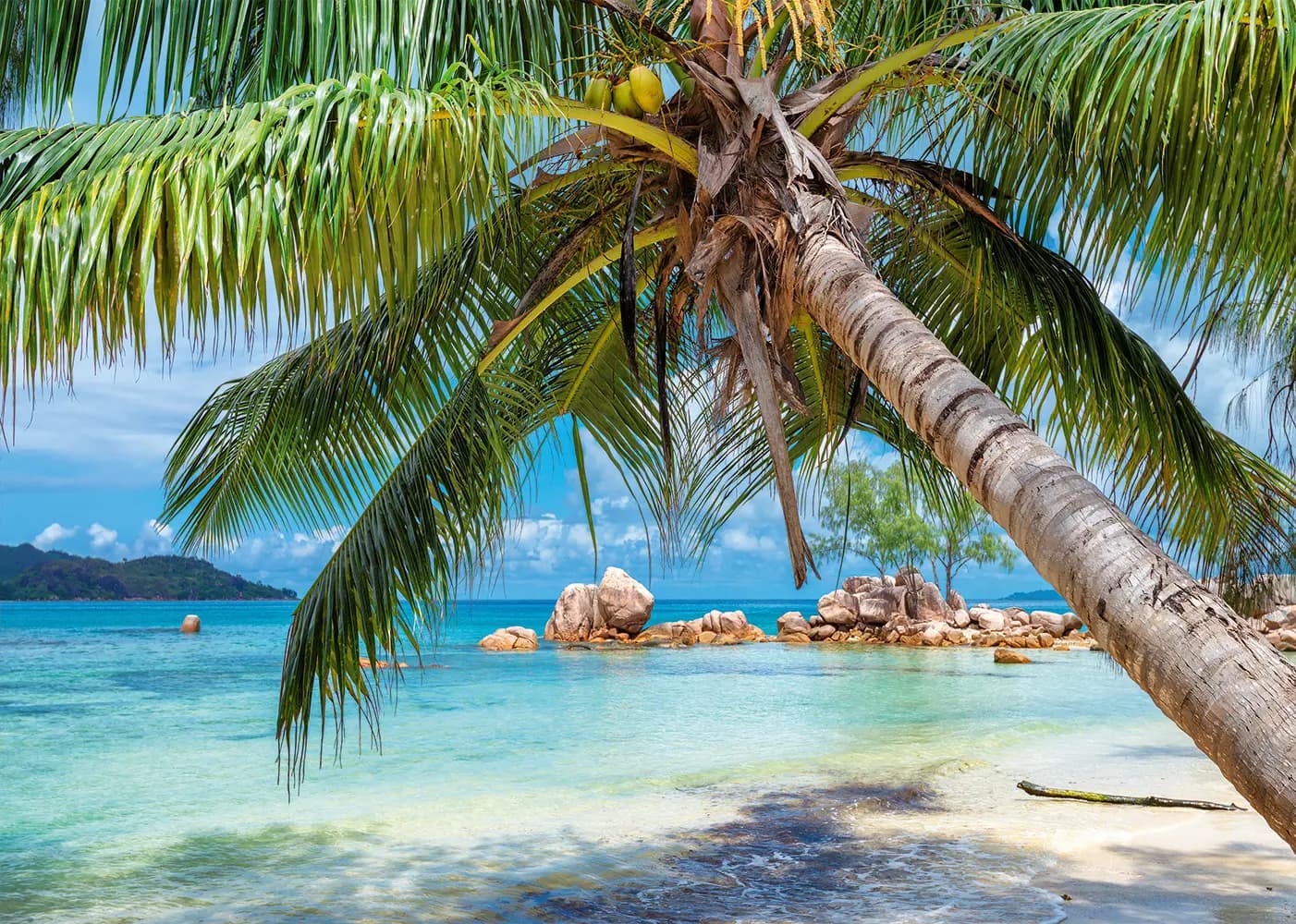 Alipson Puzzle - Puzzle Tropical Beach - 1000 dielov