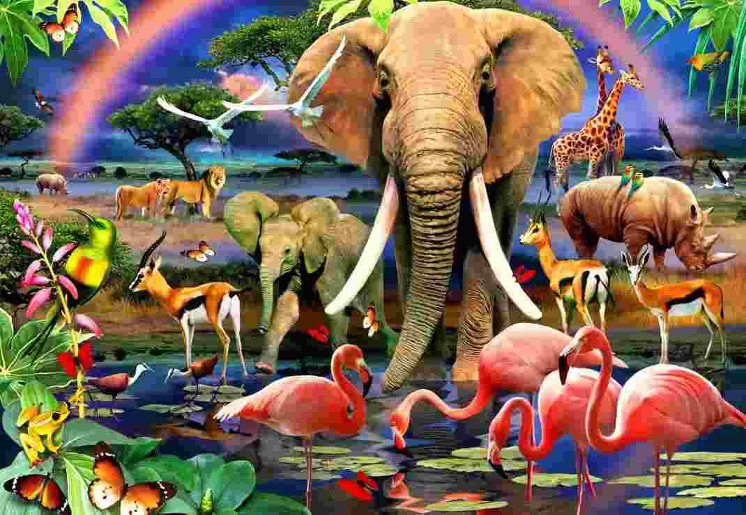 BlueBird - Puzzle African Savannah - 1000 dielov