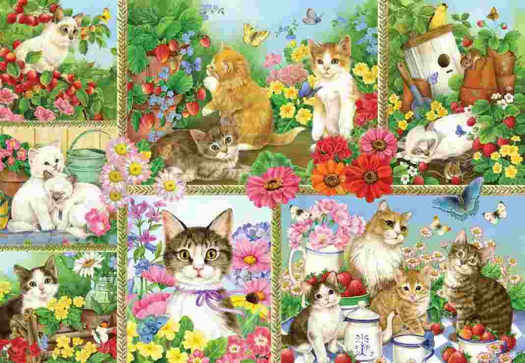 BlueBird - Puzzle Cats and Kittens - 1000 dielov