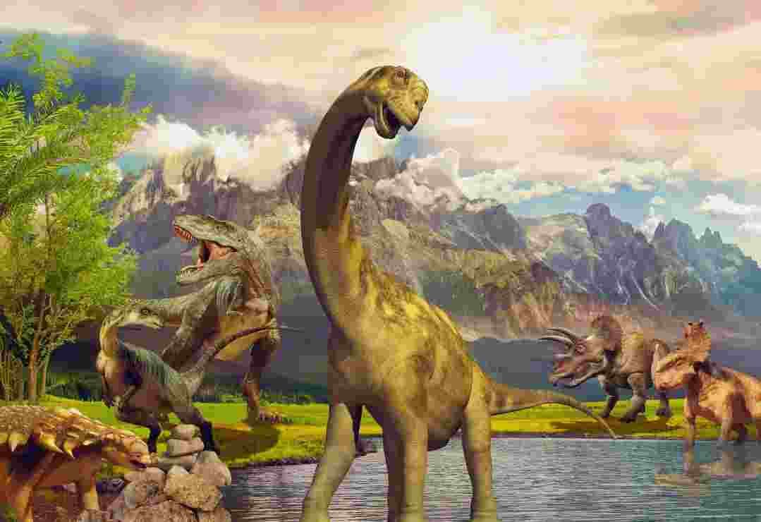 BlueBird - Puzzle Dinosaurs - 300 dielov