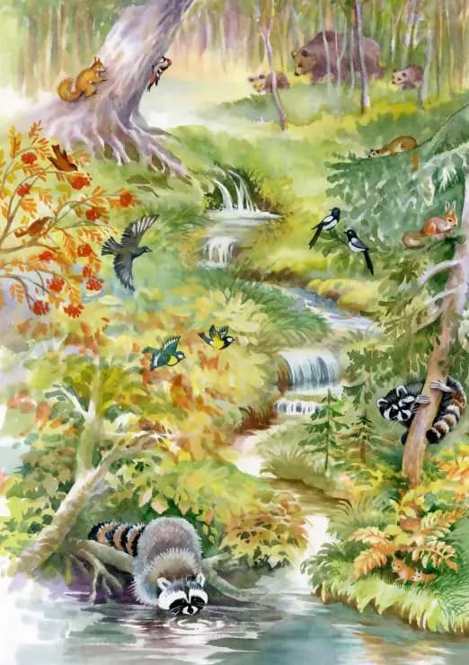 BlueBird - Puzzle Forest Animals - 1000 dielov
