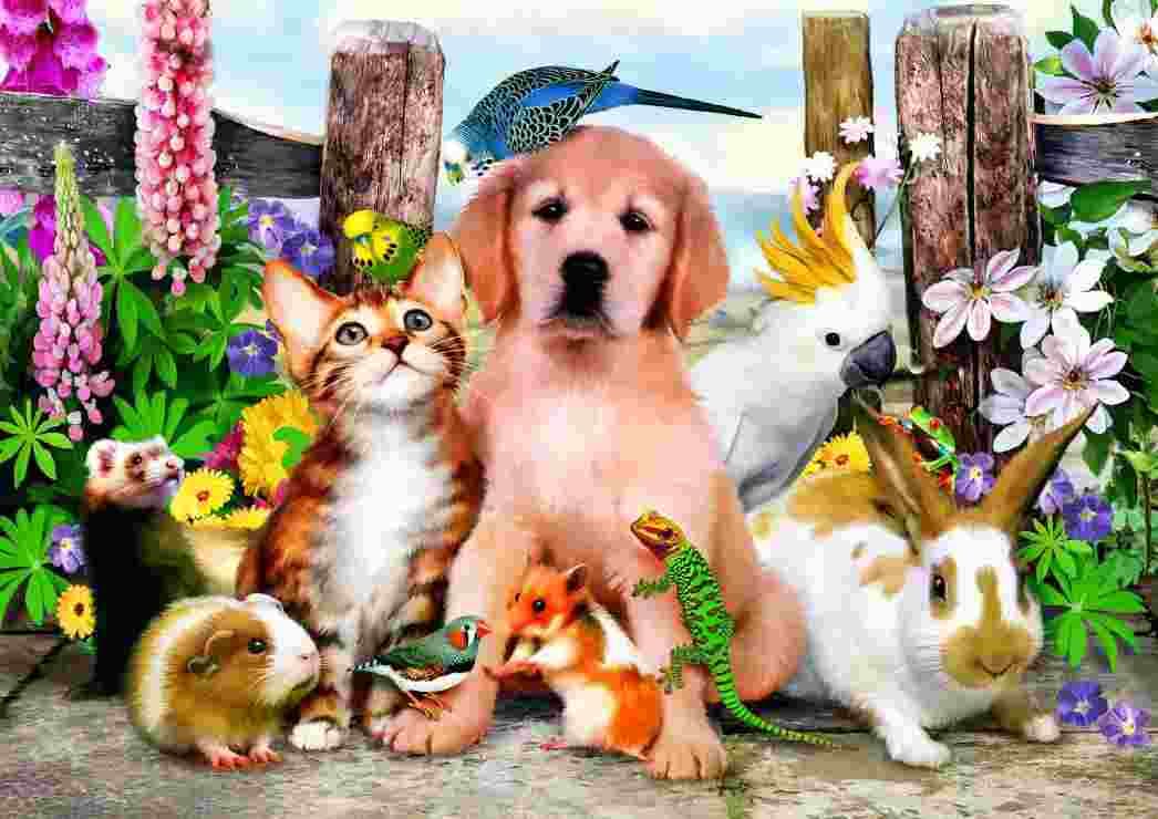BlueBird - Puzzle Good Companions - 200 dielov