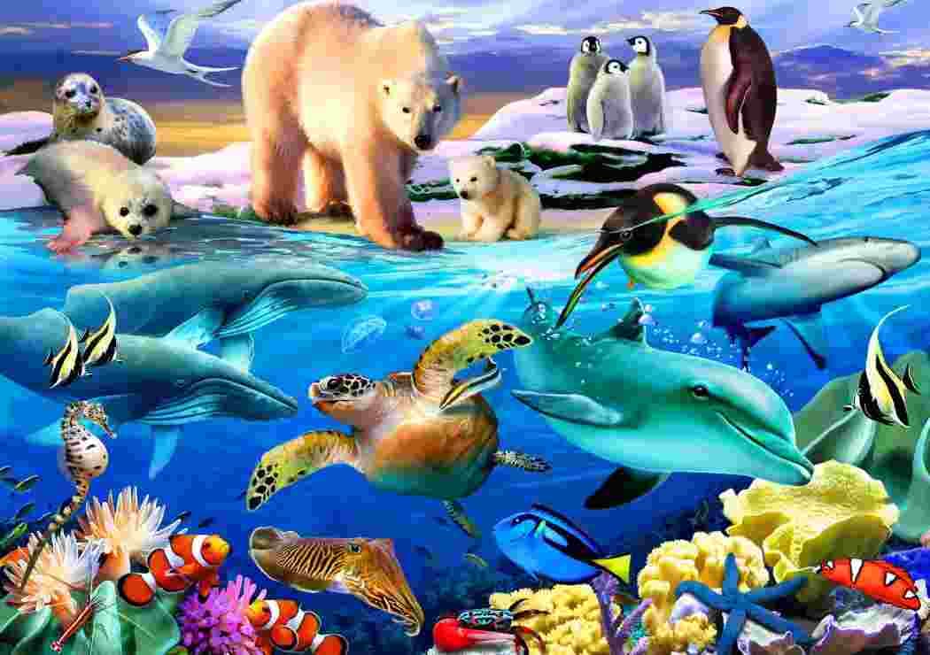 BlueBird - Puzzle Oceans of Life - 1000 dielov
