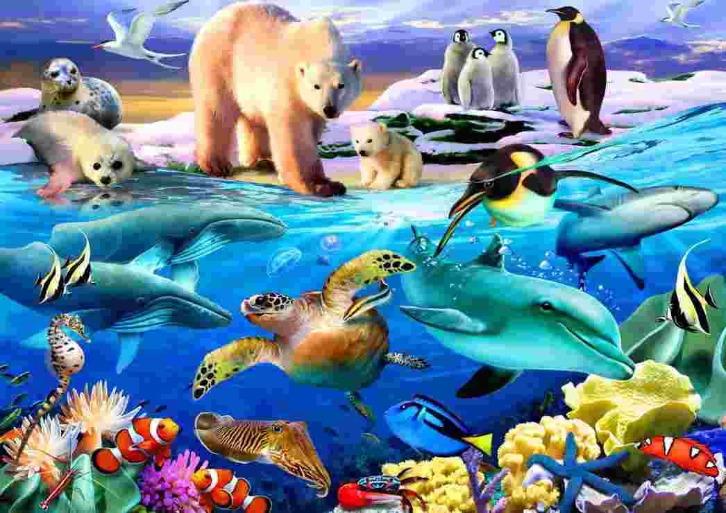 BlueBird - Puzzle Oceans of Life - 200 dielov