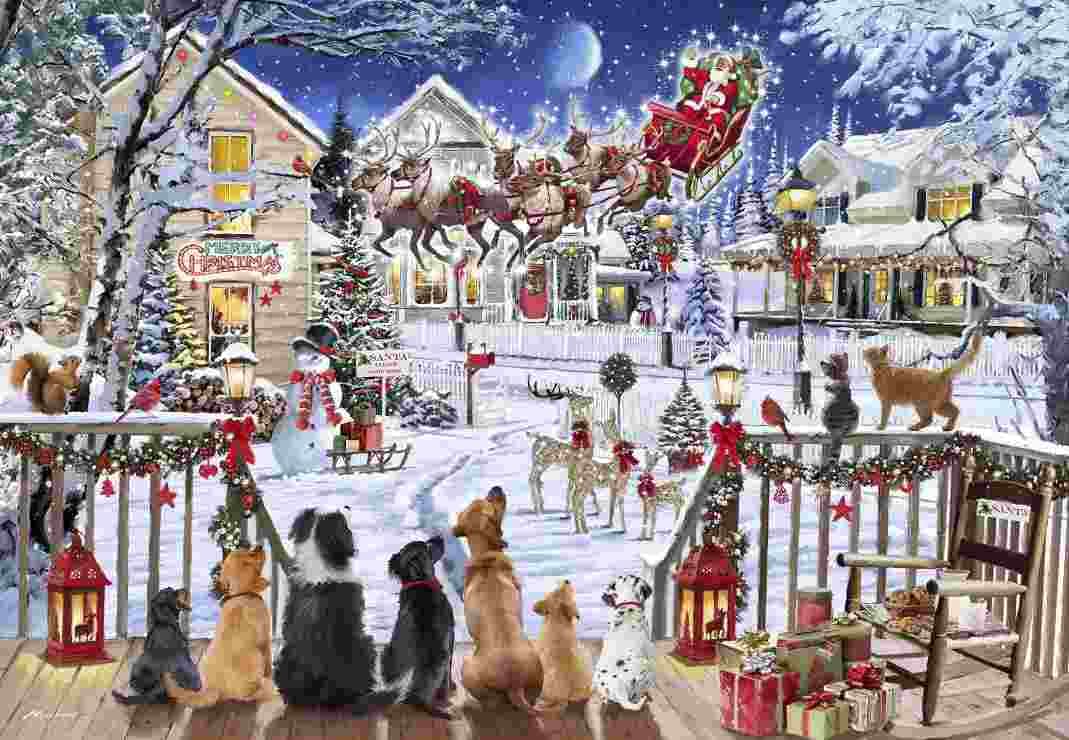 BlueBird - Puzzle Pets on Porch - 1000 dielov