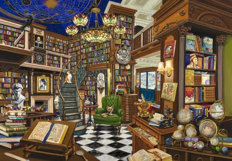 BlueBird - Puzzle Rare Book Dealer - 1000 dielov