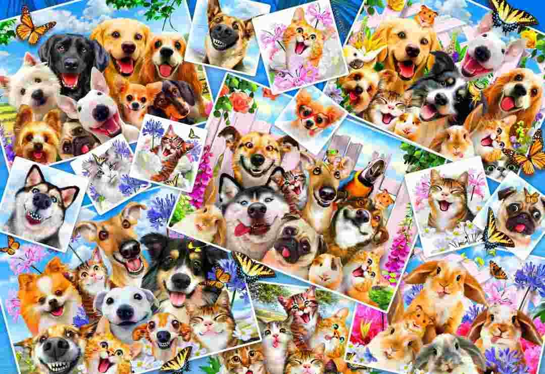 BlueBird - Puzzle Selfie Pet Collage - 260 dielov