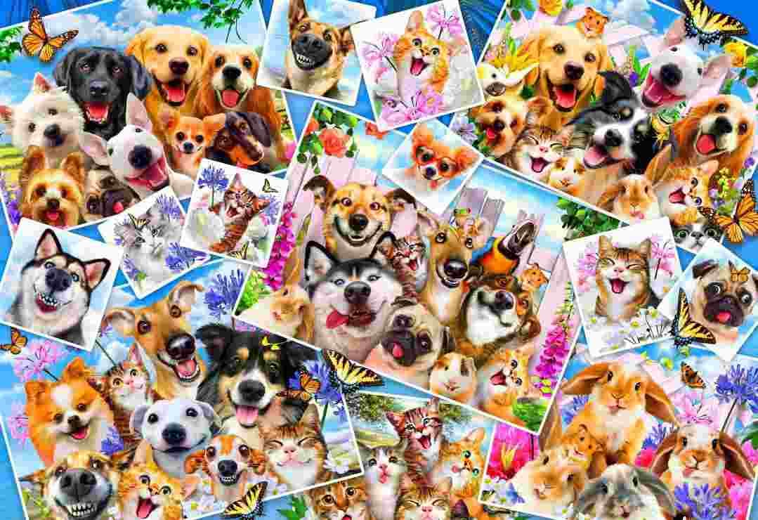 BlueBird - Puzzle Selfie Pet Collage - 300 dielov