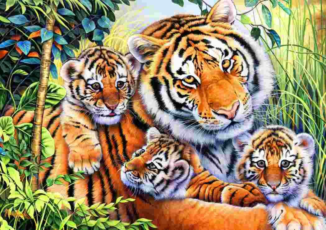 BlueBird - Puzzle Tiger family - 1000 dielov