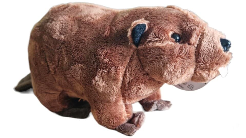 Bobor európsky plyšový 25cm