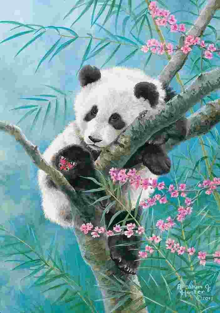 Castorland - Puzzle Bamboo Dreams - 500 dielov