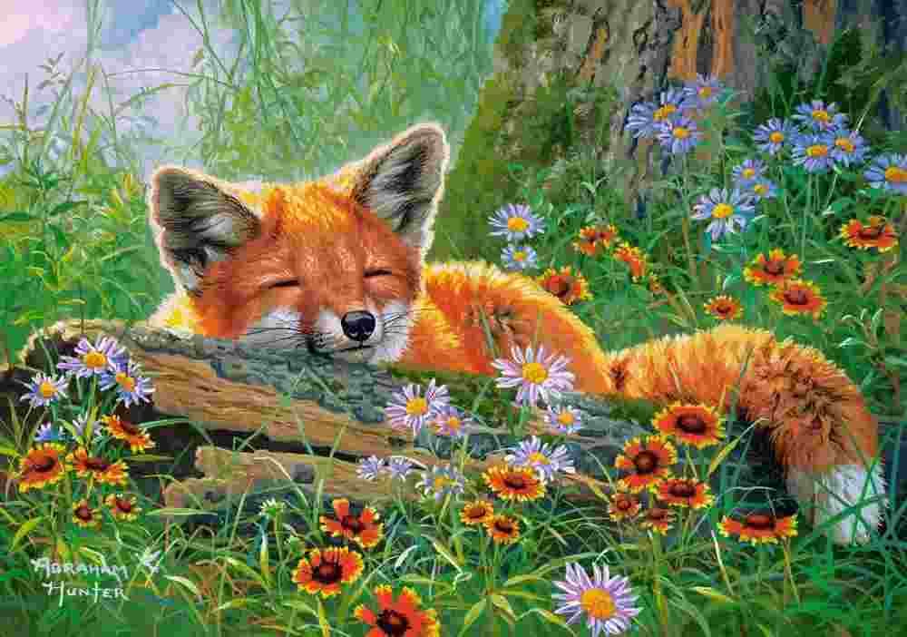 Castorland - Puzzle Foxy Dreams - 500 dielov