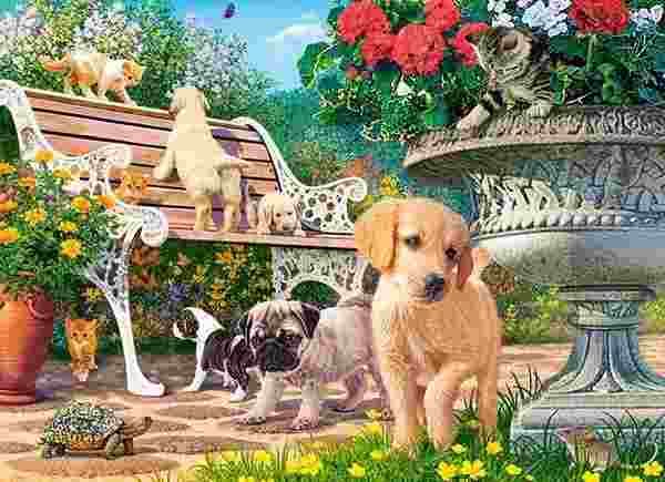 Castorland - Puzzle Hide and Seek - 100 dielov