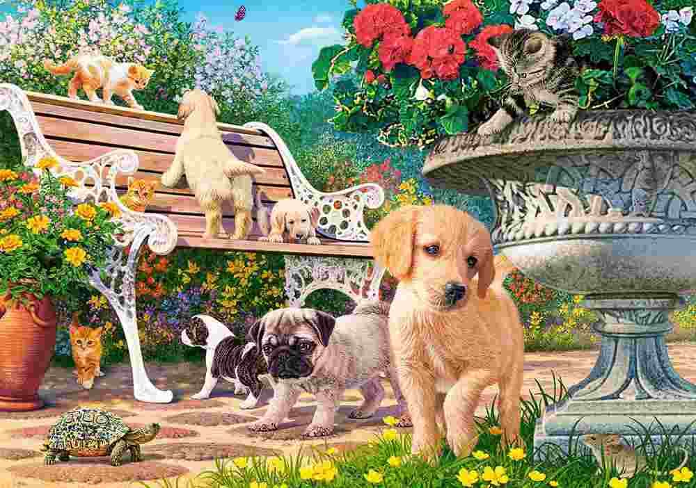 Castorland - Puzzle Hide and seek - 500 dielov