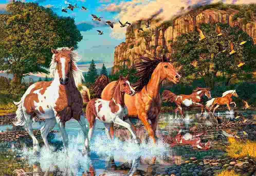 Castorland - Puzzle Horse Wonderland - 1000 dielov