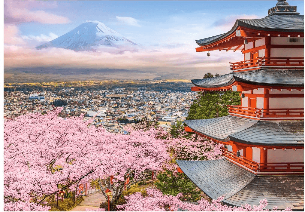 CASTORLAND Puzzle Jaro v Japonsku 500 dílků