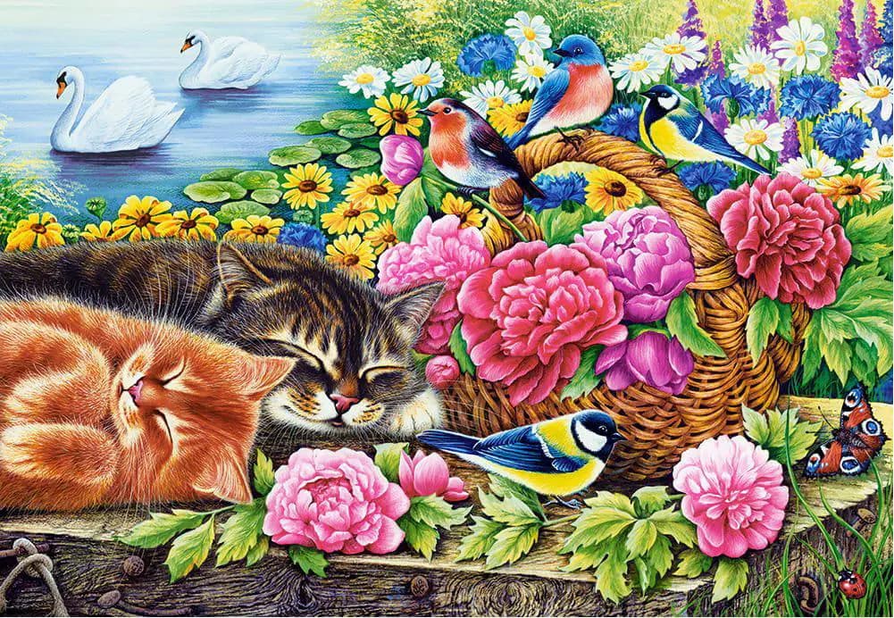 Castorland - Puzzle Lazy Sunday - 1000 dielov