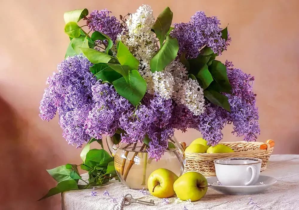 Castorland - Puzzle Lilac Still Life - 500 dielov