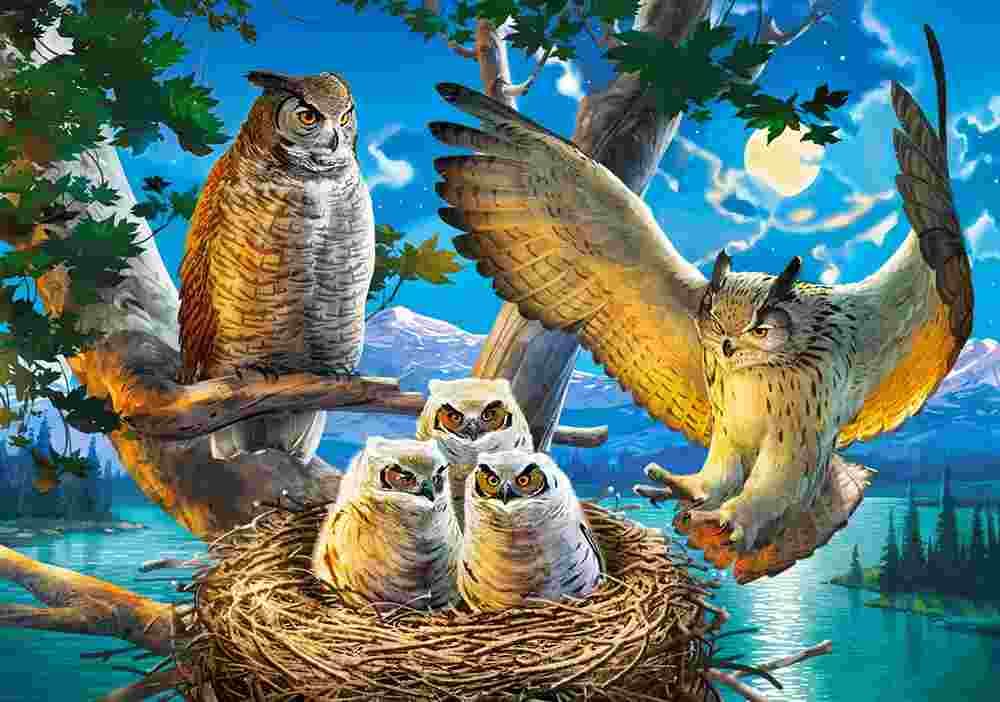 Castorland - Puzzle Owl Family - 500 dielov