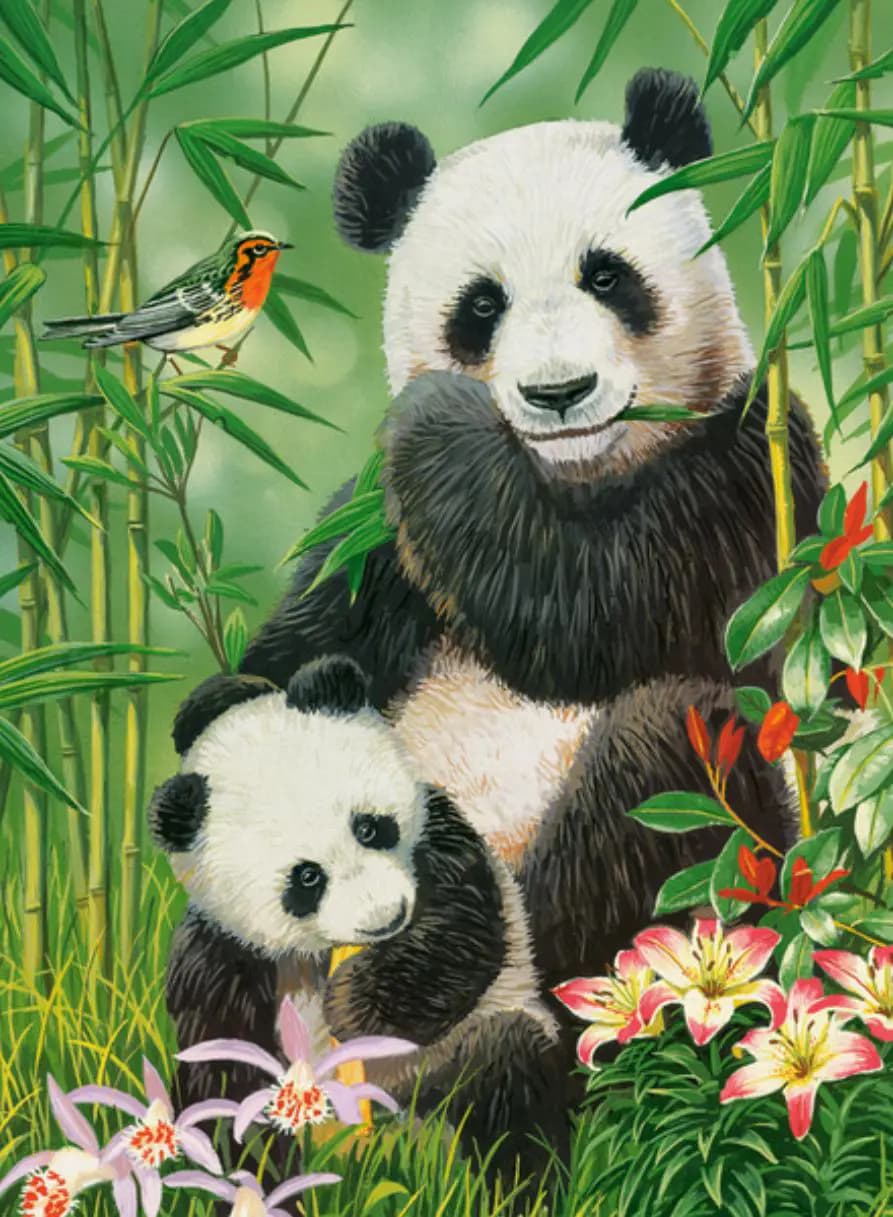 Castorland - Puzzle Pandas - 1000 dielov