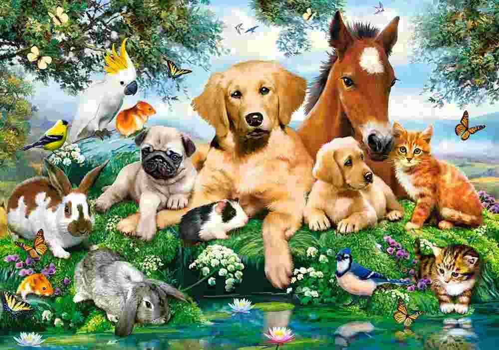 Castorland - Puzzle Summer Pals - 500 dielov