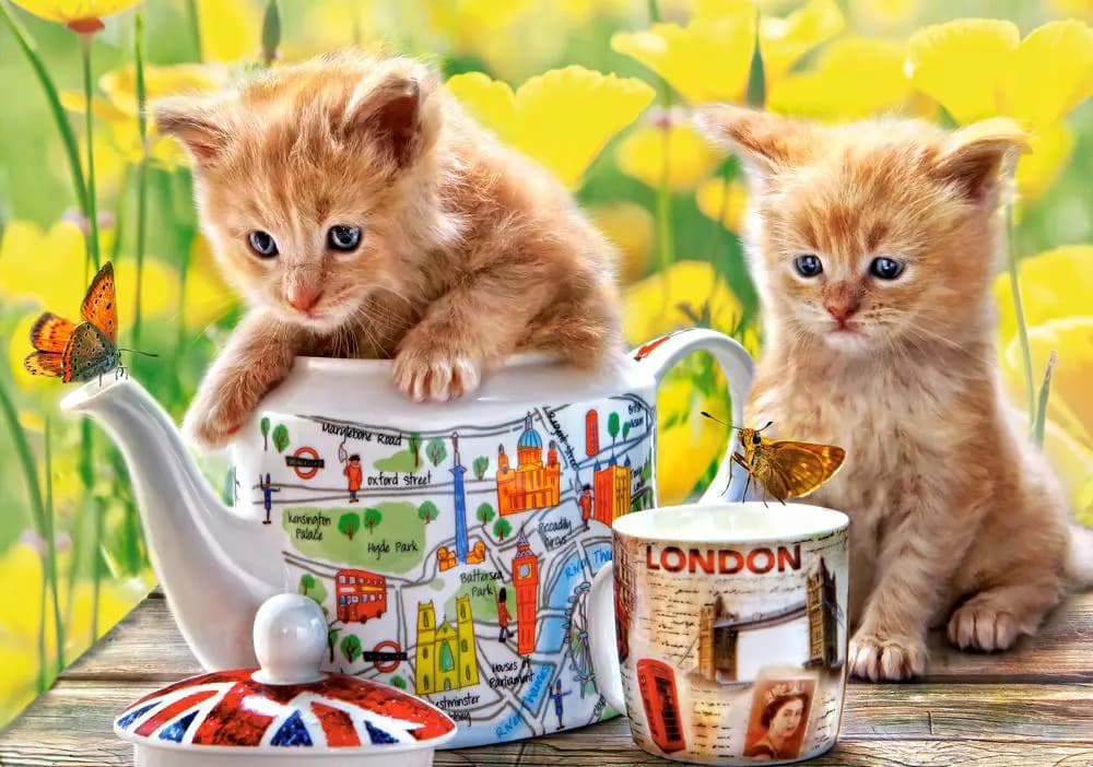 Castorland - Puzzle Tea Time - cats - 500 dielov