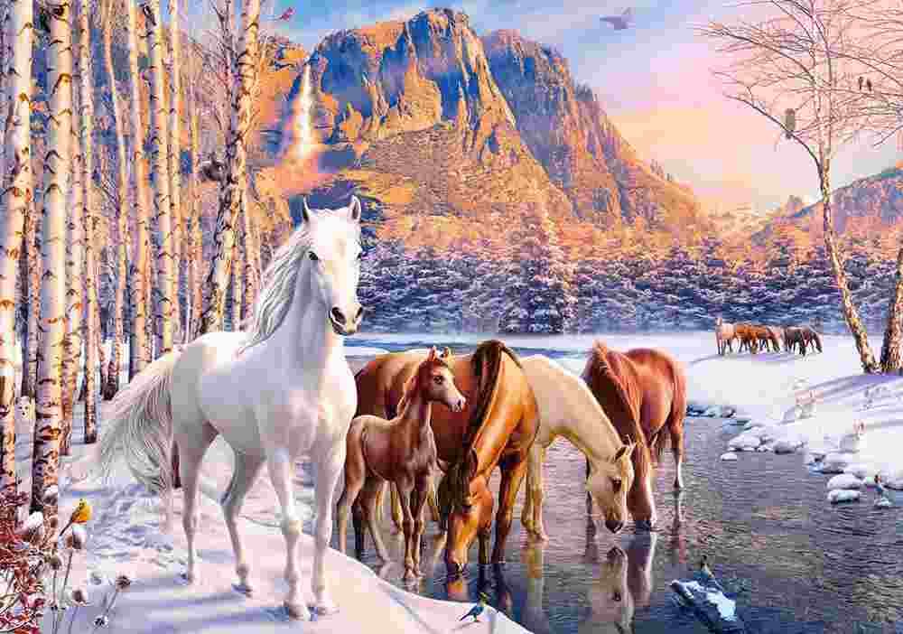 Castorland - Puzzle Winter melt - 500 dielov