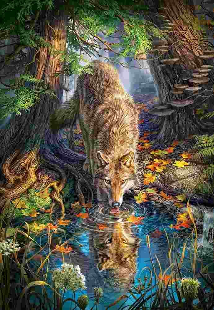 Castorland - Puzzle Wolf in the Wild - 1500 dielov