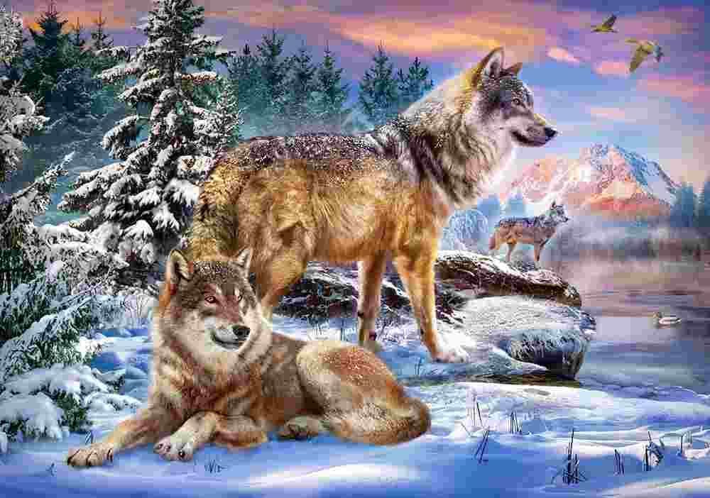 Castorland - Puzzle Wolfish Wonderland - 500 dielov