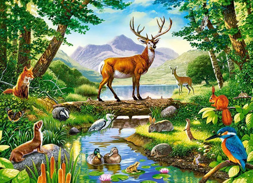 Castorland - Puzzle Woodland Harmony - 300 dielov