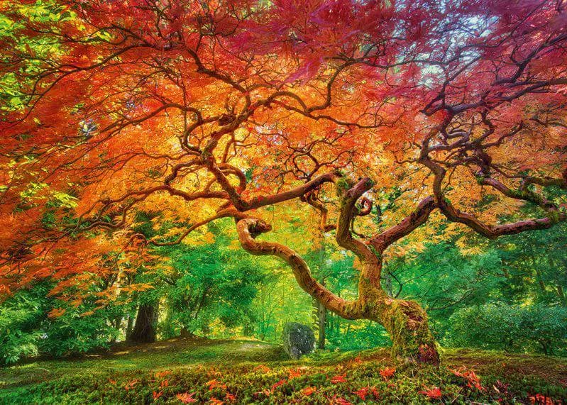 Cherry Pazzi - Puzzle Arteria Spray - 1000 dielov