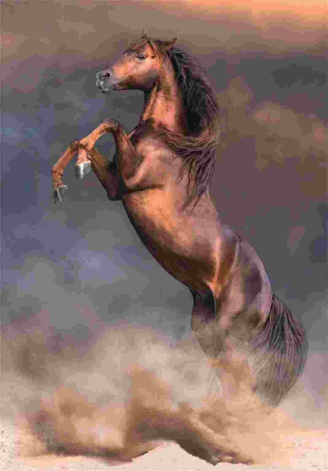 Clementoni - Puzzle Big Red Stallion - 500 dielov