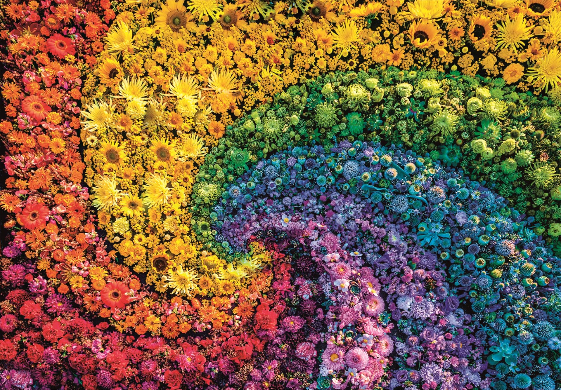 CLEMENTONI Puzzle ColorBoom: Vír 1000 dílků