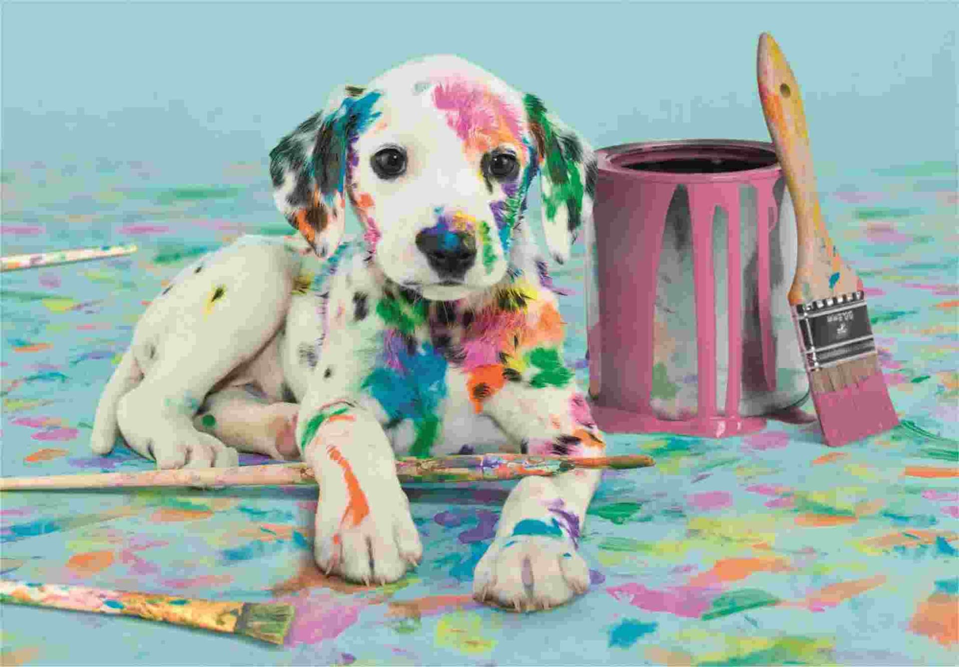 Clementoni - Puzzle The Funny Dalmatian - 500 dielov