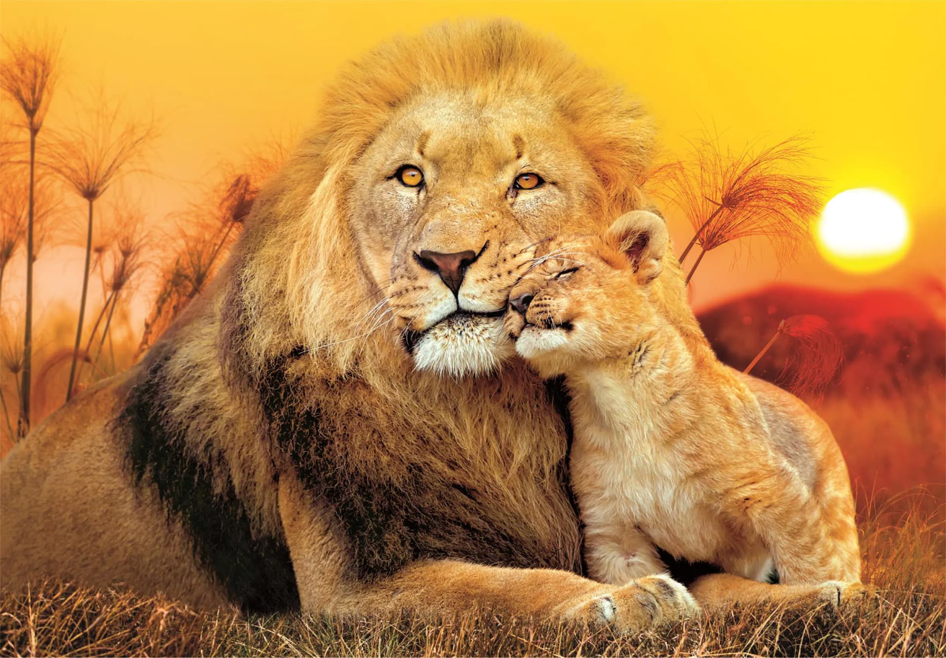 Clementoni - Puzzle Unexpected hug - 180 dielov