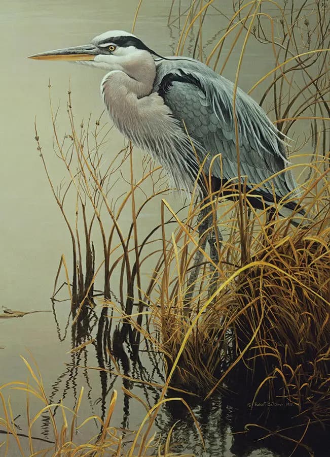 Cobble Hill - Puzzle Great Blue Heron - 500 dielov