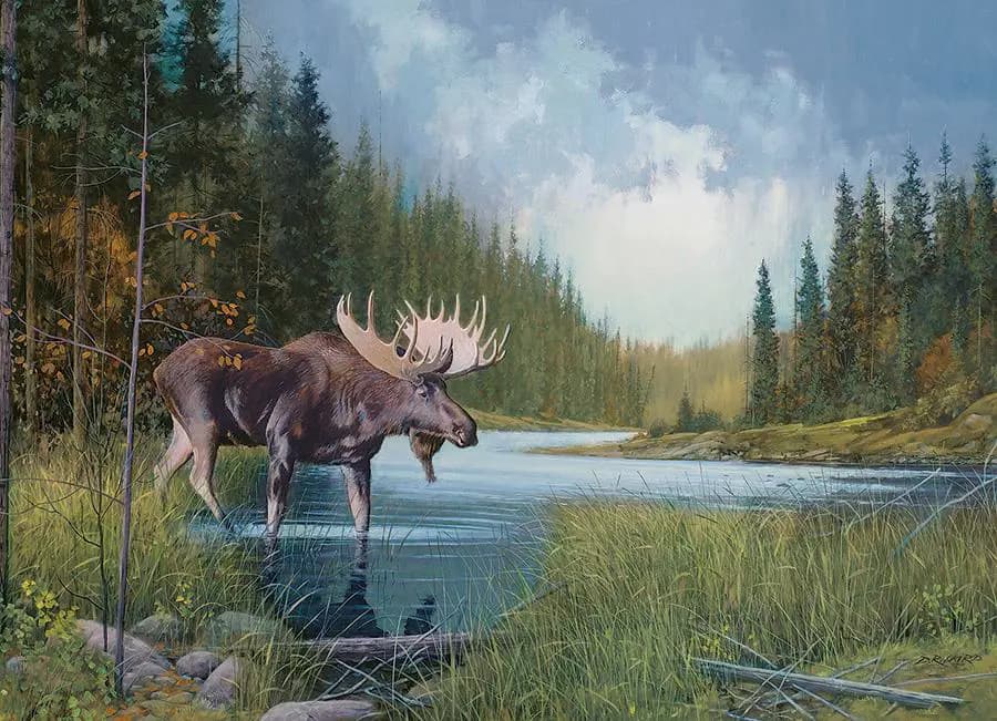 Cobble Hill - Puzzle Laird: Moose lake - 1000 dielov