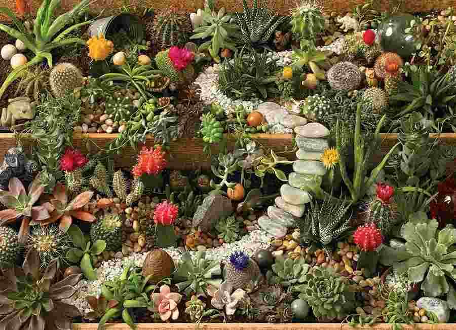 Cobble Hill - Puzzle Succulent Garden - 1000 dielov