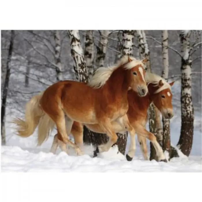 D-Toys - Puzzle Horses Magic: Halflinger - 240 dielov