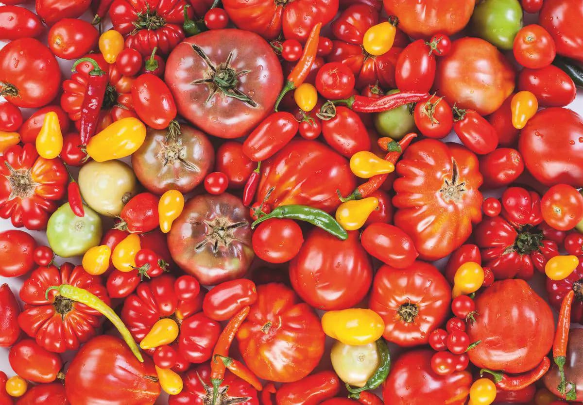 D-Toys - Puzzle Vegetables - 1000 dielov