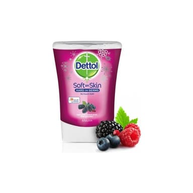 Dettol davk.250ml Lesné plody