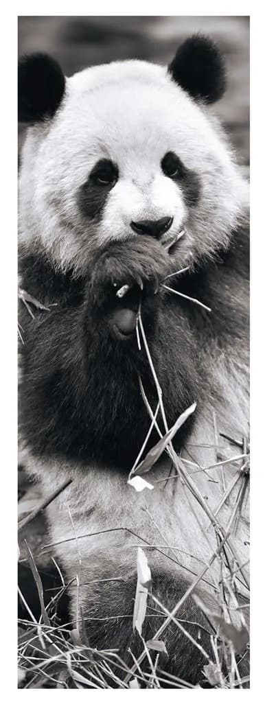 Dino - Puzzle Panda in the grass - 1000 dielov