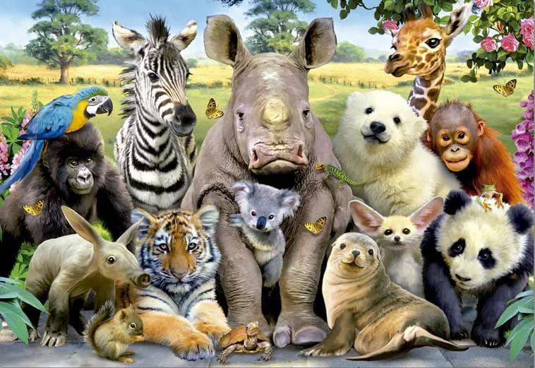 Educa - Puzzle Class Photo - 1000 dielov