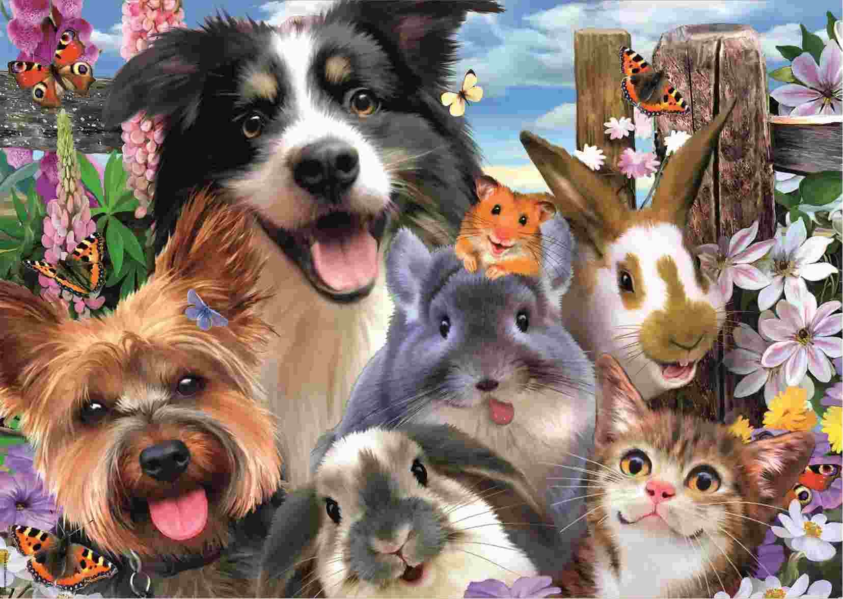Educa - Puzzle Funny Selfie - 500 dielov