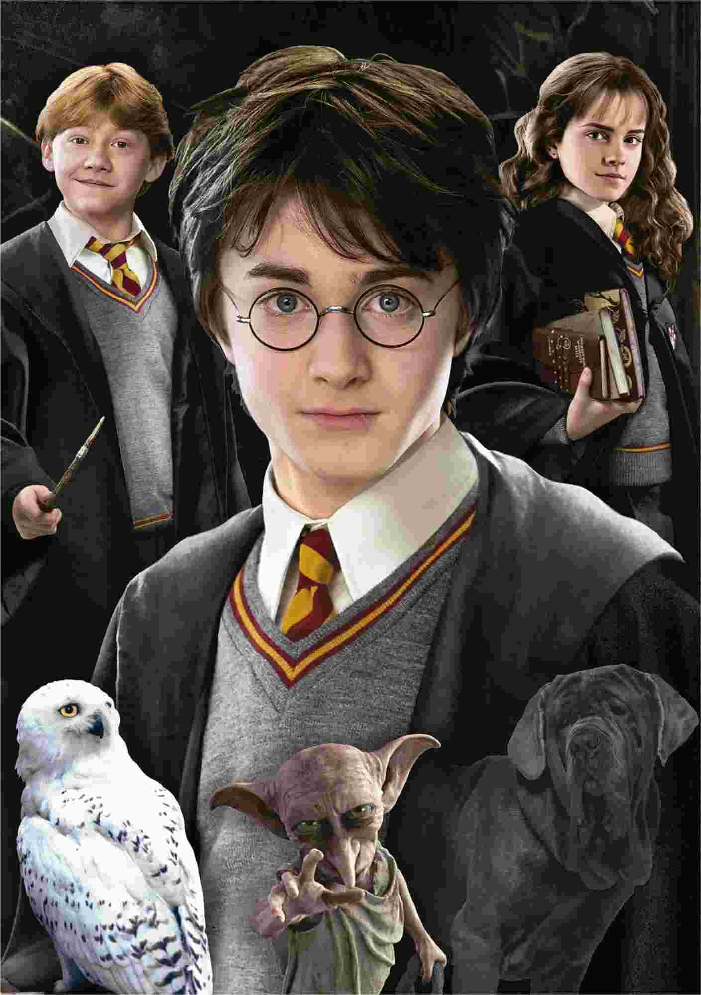 Educa - Puzzle Harry Potter - mini - 1000 dielov
