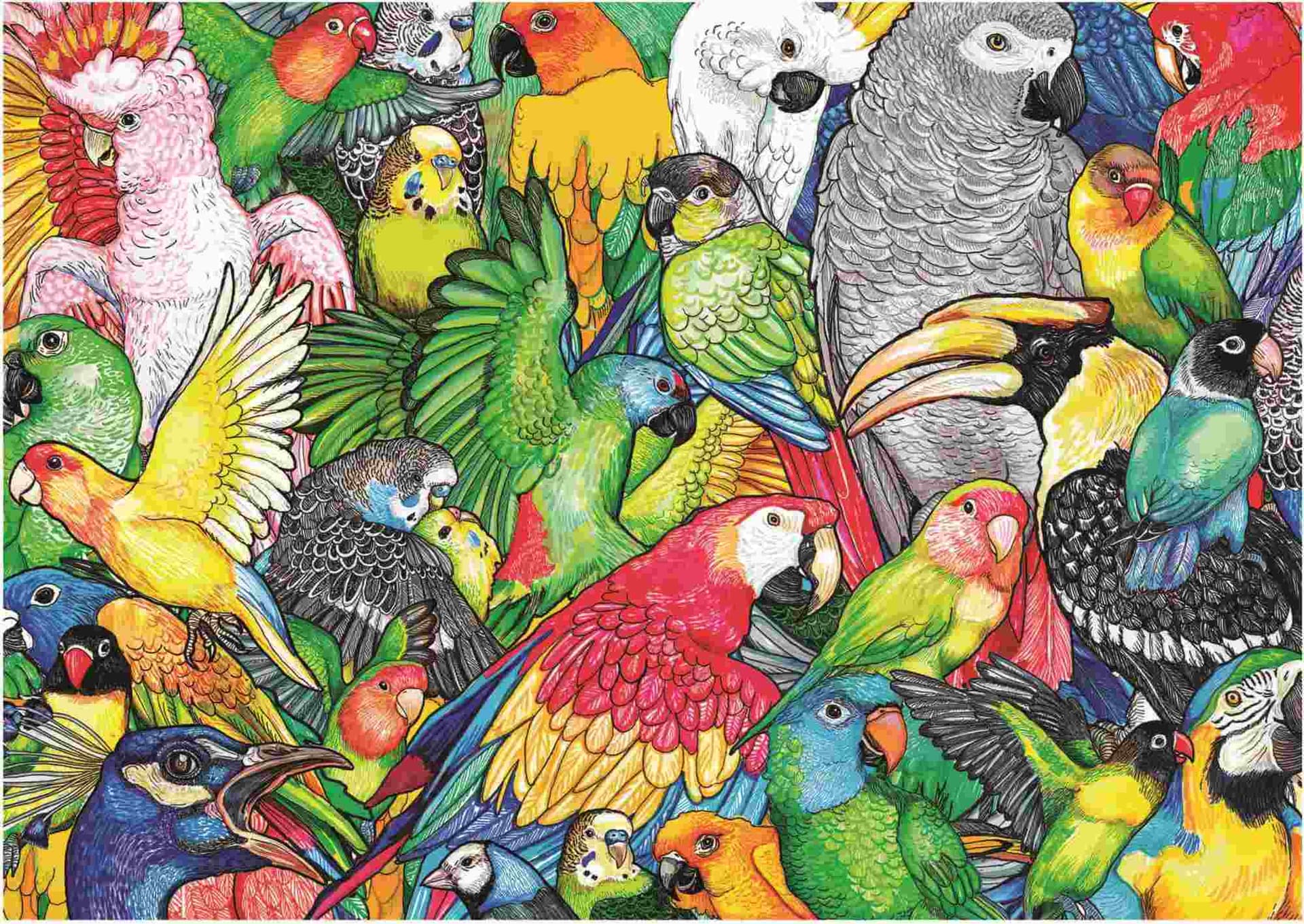Educa - Puzzle Parrots - 500 dielov