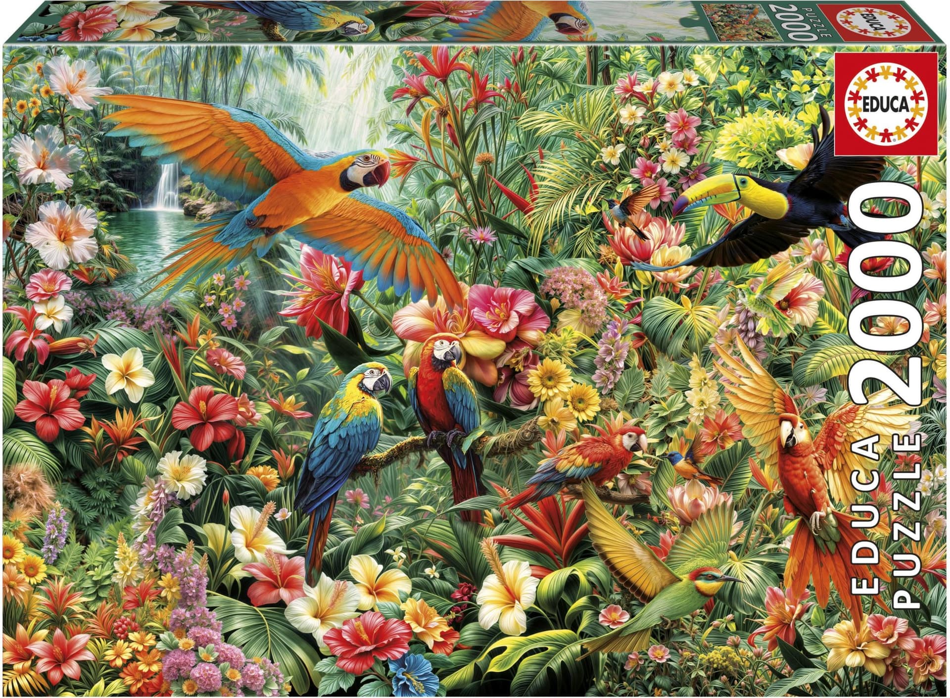EDUCA Puzzle Ptáci Amazonie 2000 dílků