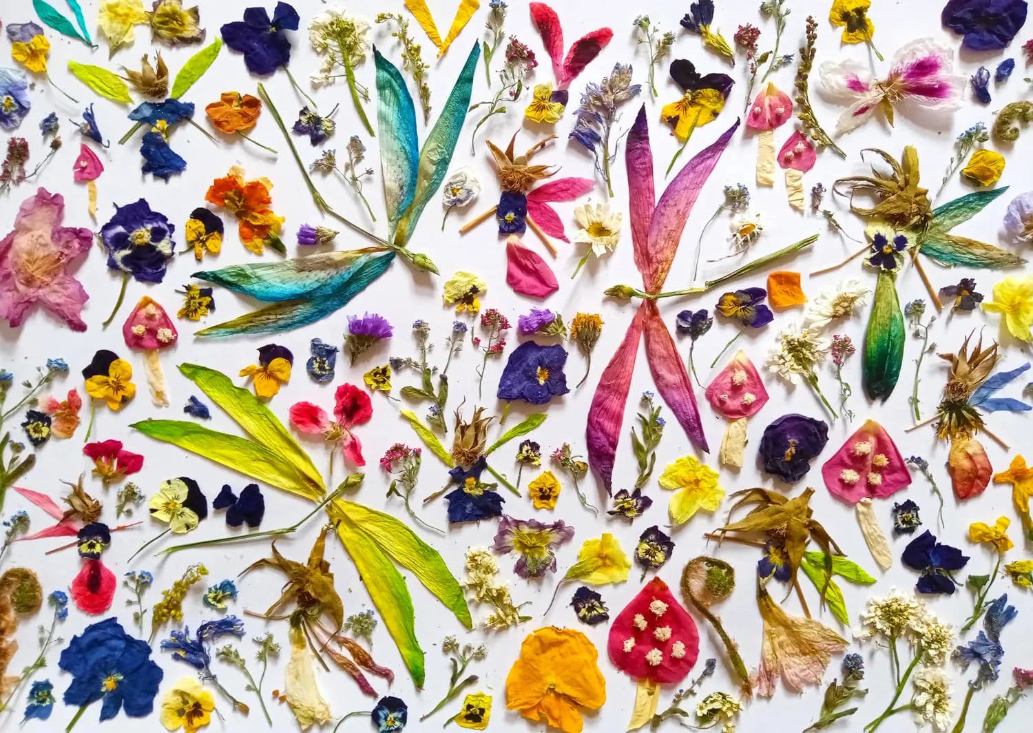 Enjoy - Puzzle Fairies and Dragonflies - 1000 dielov