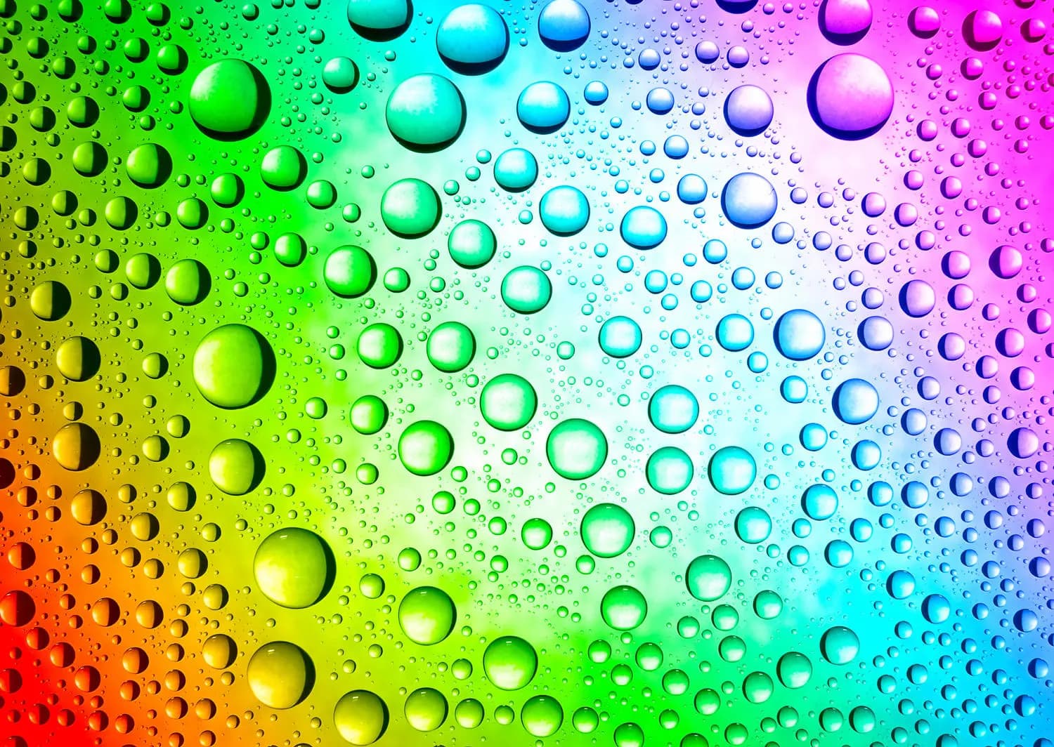 Enjoy - Puzzle Rainbow Fizz - 1000 dielov