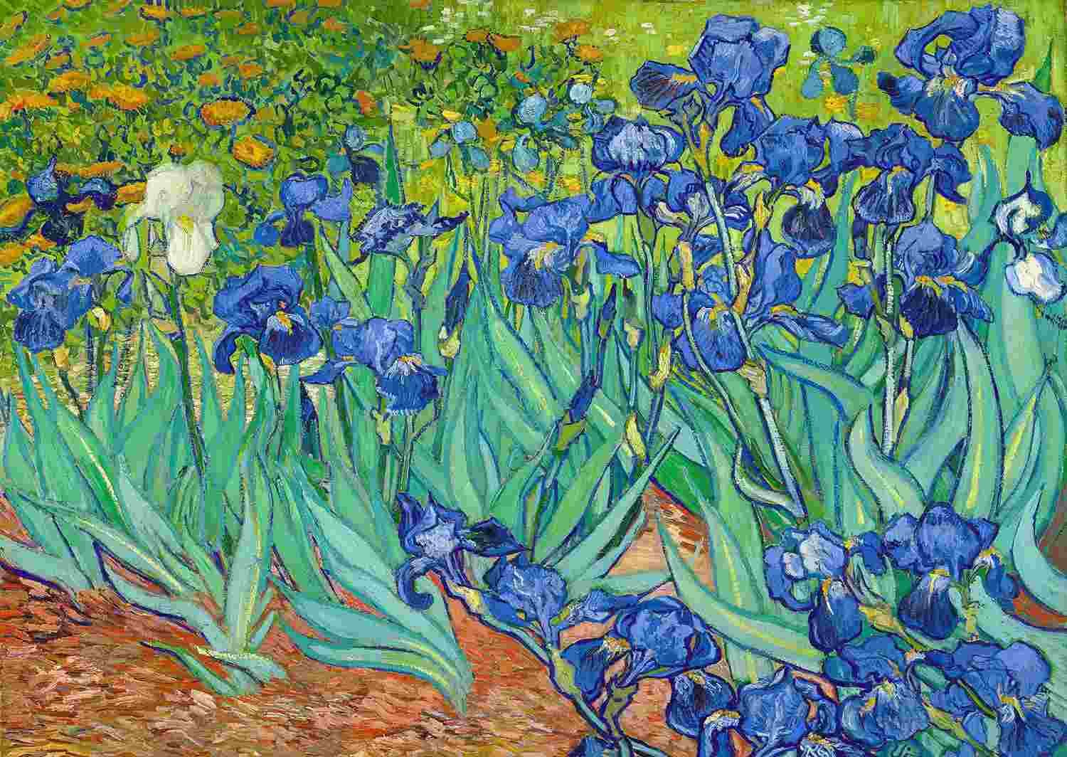Enjoy - Puzzle Vincent van Gogh: Irises - 1000 dielov